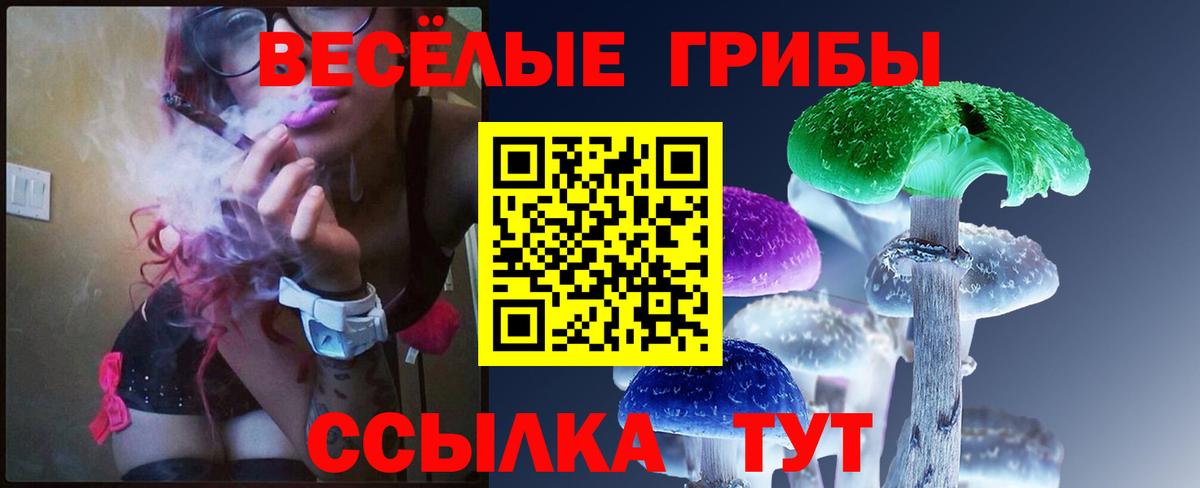 Новодвинск  Псилоцибиновые грибы ЛСД  Вход с VPN 