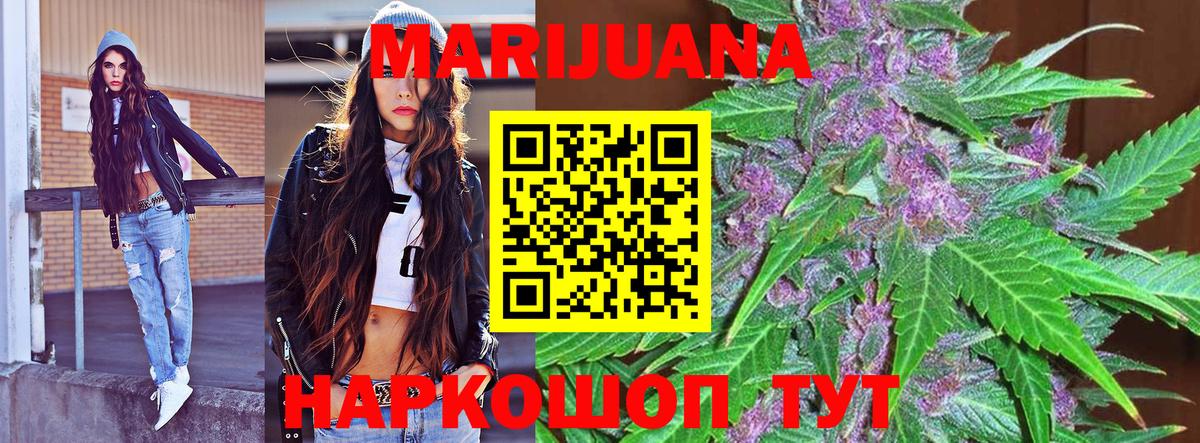 Каннабис White Widow  Шишки марихуана планчик  Новодвинск  Вход с VPN  Бошки марихуана OG Kush 